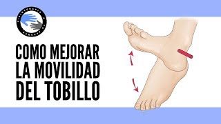 ¿Por que la movilidad del tobillo es tan importante ejercicios para mejorarla [upl. by Assirroc]