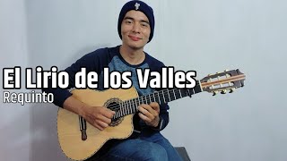 El Lirio de los Valles  Cristian Orantes  Requinto 🎸 [upl. by Eilah]