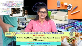 Lecture 30 Cholesterol Metabolism [upl. by Marih]