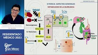 NEONATOLOGÍA  5 Ictericia neonatal [upl. by Chobot]