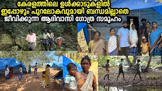 കാടിനുള്ളിലെ നാടോടികളായ ഒരു ആദിവാസി ഗോത്ര സമൂഹംത്തെ കുറിച്ച് കേട്ടിട്ടുണ്ടോ [upl. by Ahmad]