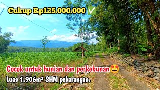 ❌TERJUAL❌Seluas ini tanah pekarangan cukup 125jt 👉 dijual shmp 1906m² [upl. by Eibbob]