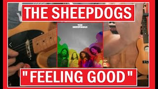 The Sheepdogs  Feeling Good  Guitar Lesson  Tab [upl. by Ahsyak403]