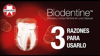 3 Razones para usar Biodentine [upl. by Gambrell122]