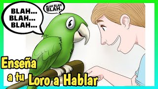 COMO ENSEÑAR AL LORO a HABLAR ¡Rápido y Fácil Como hacer que hable el Loro [upl. by Philander]