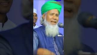 Helali Bangla Waz shorts waz wazmahfil islamicvideo banglawaz [upl. by Freytag]