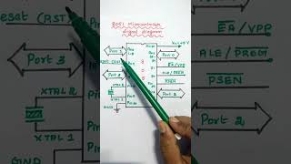 Pin Diagram of 8051 Microcontroller  8051 Signal diagram  MPMC [upl. by Geffner]