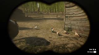 24 Java Rooster location RDR2 [upl. by Navlys]