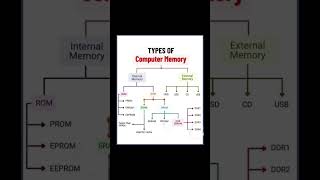 Types of Computer Memory facts free tech fyp fypシ゚viral views [upl. by Dianemarie]