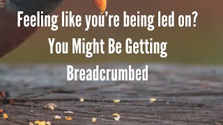 What is breadcrumbing in relationships [upl. by Bracci]