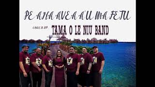 PE Ana avea au ma fetu cover by TAMA O LE NIU BAND [upl. by Eendyc313]