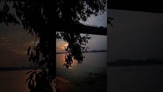 O majhi re shorts kolkata evening shortsfeed [upl. by Ahsitram]