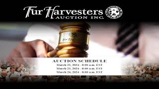 Fur Harvesters Auction Inc Live Stream [upl. by Marven]