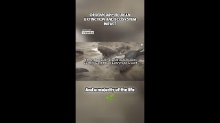 The OrdovicianSilurian Extinction Earths First Mass Extinction Event [upl. by Marketa837]