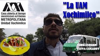 UAM Xochimilco [upl. by Amelus476]