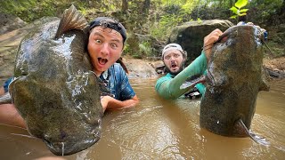 CATFISH Noodling For RIVER MONSTERS w Ayo Fishing First Time [upl. by Manwell]