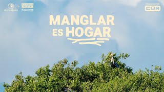 MANGLAR ES HOGAR  Cortometraje sobre manglares de República Dominicana [upl. by Schilit]