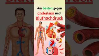 Am besten gegen Cholesterin und Bluthochdruck [upl. by Gaulin644]