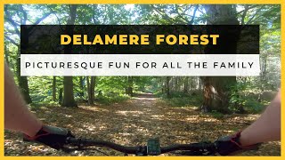 Delamere Forest  Picturesque trails for everyone [upl. by Ajiram]