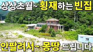 더 이상은 못버틴다 안팔려서 몽땅 드립니다 상상초월 횡재하는 빈집 등장 놓치지 말고 빨리 오세요 [upl. by Anitteb]