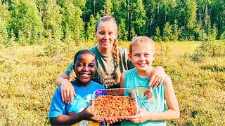 Clearing land for our Greenhouse Build  Picking Cloudberries amp Making homemade Jam [upl. by Obe691]