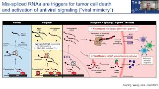 Educational Sessions quotRNA metabolism and splicingquot [upl. by Jenks712]