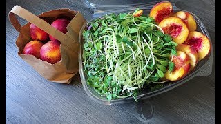 HotelTraveling Raw Vegan Fruitarian  Fast Food with The Raw Outlaw San Diego Fruit Fest 2019 [upl. by Neerod]