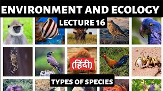 Types of Species for UPSC  Native Endemic Invasive amp More  Detailed Information for Exam [upl. by Blakeley797]