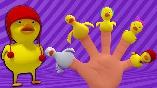 ankor fingerfamilj  barnlåtar  pedagogiska sånger  3D Rhymes  Ducks Song  Ducks Finger Family [upl. by Miun]