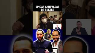 Ahuevadas épicas de Bukele [upl. by Nivej]