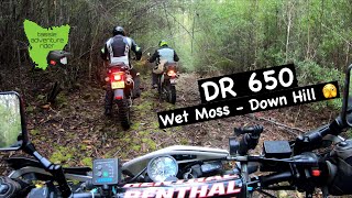 DR 650  Wet Moss  Steep Decents  Challenge Accepted [upl. by Solegnave]