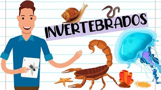 RESUMO  ANIMAIS INVERTEBRADOS [upl. by Aeht]