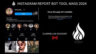 Instagram Report Bot Tool 2024 [upl. by Rosamond]