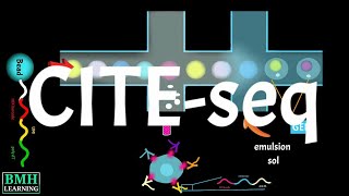 Totalseq Workflow  CITEseq  Simultaneous Proteomics amp Transcriptomics  Biolegend [upl. by Fi]