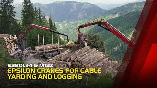 PALFINGER EPSILON Cranes for Cable Yarding and Logging  S280L94 and M12Z [upl. by Brookhouse]