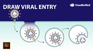 Draw Viral Entry  Graphical Abstract  Scientific Illustration  Adobe Illustrator for Scientists [upl. by Shandie527]