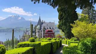 🇨🇭 4K Relaxing Walk Meggenhorn Switzerland Sunny Walking Tour ☀️ 2023 [upl. by Naujik]