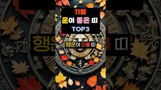 11월 운이 좋은 띠 TOP3 띠별운세 운세 재물운 돈벼락 횡재수 [upl. by Yebloc60]