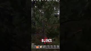 Proof Blondi is not using ESP dayzclips dayzfunnymoments [upl. by Eiroj]