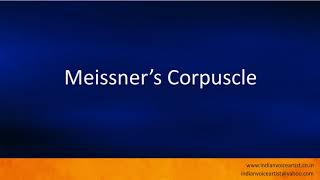 Pronunciation of the words quotMeissner’s Corpusclequot [upl. by Airetahs]