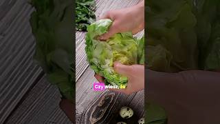 Czy wiesz że kapusta  ❓️ short cabbage [upl. by Ydnec]