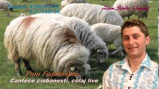 CANTECE CIOBANESTI COLAJ LIVE 2015 PUIU FAGARASANU [upl. by Aay]