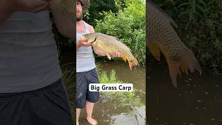 Grass Carp…carp carpfishing pondfishing [upl. by Doty]