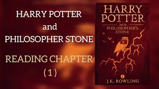 Paperback Flicks  Harry Potter and the Sorcerers Stone  Episode 1 S1 E1 [upl. by Cullie]