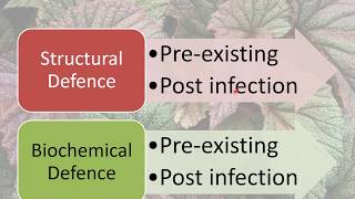 Resistance Mechanisms in Plants  Structural Defence [upl. by Gianina]