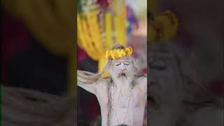 12 saal Baad lagega Kumbh prayagraj Ki Dharti per YouTube shorts 🙏🌹👉 [upl. by Vola632]