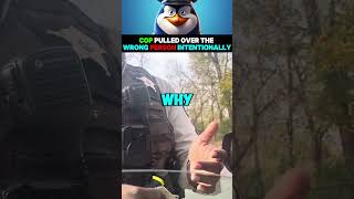 Cop Pulled Over The Wrong Person Intentionally [upl. by Sera]