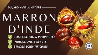 Le Marron dinde contre hémorroïdes et varices [upl. by Huston]