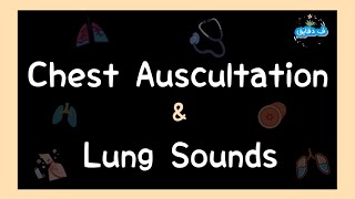 Chest auscultation amp Lung sounds OSCE guide عربي [upl. by Pattani]