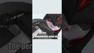 The PERFECT Widowmaker Setup Shot Overwatch 2 [upl. by Afesoj]